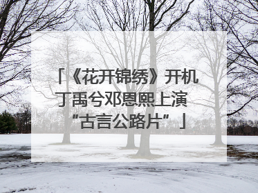 《花开锦绣》开机 丁禹兮邓恩熙上演“古言公路片”