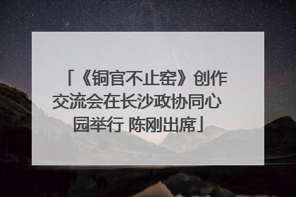 《铜官不止窑》创作交流会在长沙政协同心园举行 陈刚出席