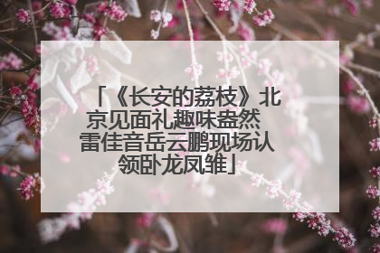 《长安的荔枝》北京见面礼趣味盎然 雷佳音岳云鹏现场认领卧龙凤雏