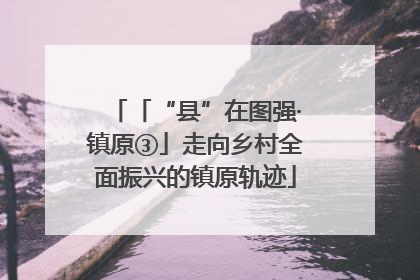 「“县”在图强·镇原③」走向乡村全面振兴的镇原轨迹