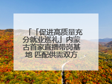 「促进高质量充分就业巡礼」内蒙古首家直播带岗基地 匹配供需双方 促进上岗就业