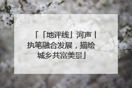 「地评线」河声丨执笔融合发展，描绘城乡共富美景