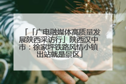 「广电融媒体高质量发展陕西采访行」陕西汉中市：徐家坪铁路风情小镇 出站就是景区