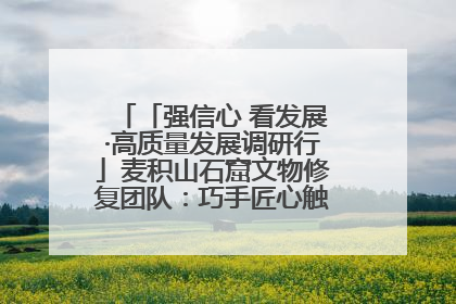 「强信心 看发展·高质量发展调研行」麦积山石窟文物修复团队：巧手匠心触摸“光阴的故事”