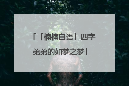 「楠楠自语」四字弟弟的如梦之梦
