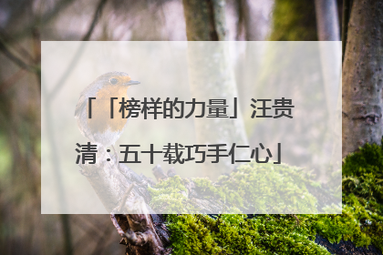 「榜样的力量」汪贵清：五十载巧手仁心