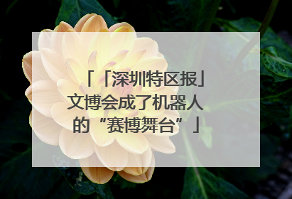 「深圳特区报」文博会成了机器人的“赛博舞台”