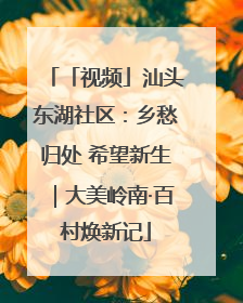 「视频」汕头东湖社区：乡愁归处 希望新生｜大美岭南·百村焕新记