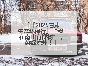「2025甘肃生态环保行」“我在南山有棵树”，染绿凉州！