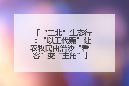 “三北”生态行：“以工代赈”让农牧民由治沙“看客”变“主角”