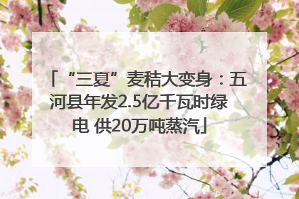 “三夏”麦秸大变身：五河县年发2.5亿千瓦时绿电 供20万吨蒸汽