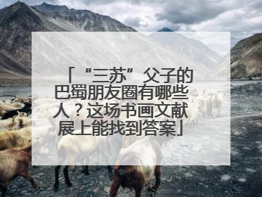 “三苏”父子的巴蜀朋友圈有哪些人？这场书画文献展上能找到答案