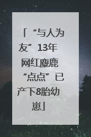 “与人为友”13年 网红麋鹿“点点”已产下8胎幼崽
