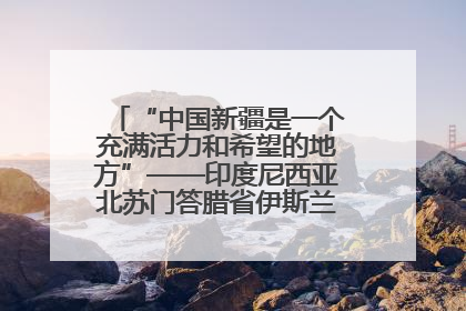“中国新疆是一个充满活力和希望的地方”——印度尼西亚北苏门答腊省伊斯兰教代表团参访新疆