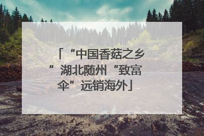 “中国香菇之乡”湖北随州“致富伞”远销海外