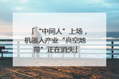 “中间人”上场，机器人产业“真空地带”正在消失