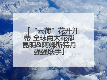 “云荷”花开并蒂 全球两大花都昆明&阿姆斯特丹强强联手