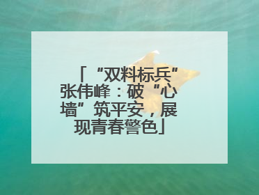 “双料标兵”张伟峰：破“心墙”筑平安，展现青春警色