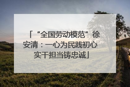 “全国劳动模范”徐安清：一心为民践初心 实干担当铸忠诚