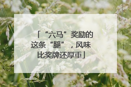 “六马”奖励的这条“腿”，风味比奖牌还厚重