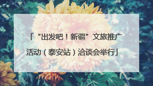 “出发吧！新疆”文旅推广活动（泰安站）洽谈会举行