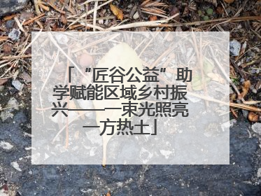 “匠谷公益”助学赋能区域乡村振兴——一束光照亮一方热土