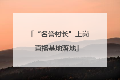“名誉村长”上岗 直播基地落地
