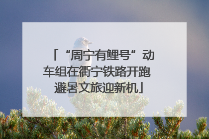 “周宁有鲤号”动车组在衢宁铁路开跑 避暑文旅迎新机