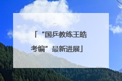 “国乒教练王皓考编”最新进展