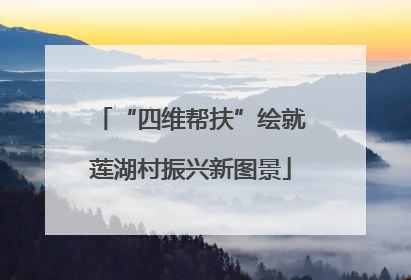 “四维帮扶”绘就莲湖村振兴新图景