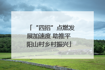 “四招”点燃发展加速度 助推平阳山村乡村振兴