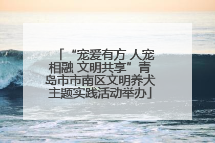 “宠爱有方 人宠相融 文明共享”青岛市市南区文明养犬主题实践活动举办