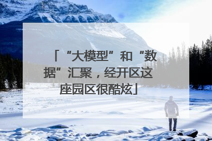 “大模型”和“数据”汇聚，经开区这座园区很酷炫