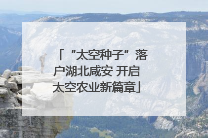 “太空种子”落户湖北咸安 开启太空农业新篇章