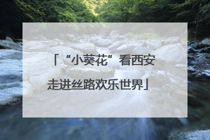 “小葵花”看西安走进丝路欢乐世界