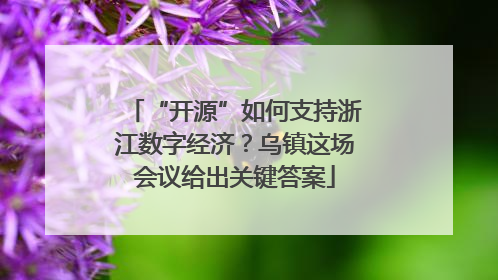 “开源”如何支持浙江数字经济？乌镇这场会议给出关键答案