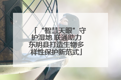 “智慧天眼”守护湿地 联通助力东明县打造生物多样性保护新范式