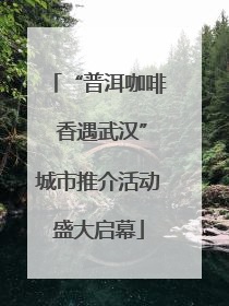 “普洱咖啡 香遇武汉”城市推介活动盛大启幕