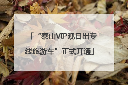 “泰山VIP观日出专线旅游车”正式开通