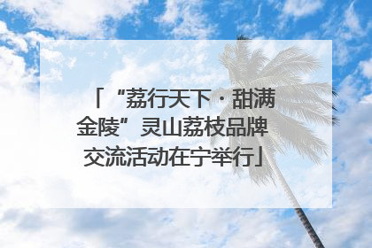 “荔行天下・甜满金陵”灵山荔枝品牌交流活动在宁举行