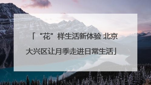 “花”样生活新体验 北京大兴区让月季走进日常生活