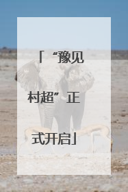 “豫见村超”正式开启