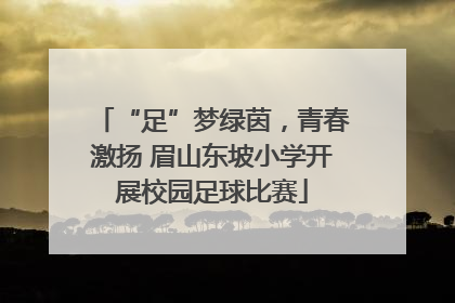 “足”梦绿茵，青春激扬 眉山东坡小学开展校园足球比赛