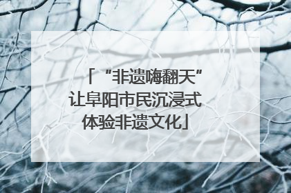 “非遗嗨翻天”让阜阳市民沉浸式体验非遗文化