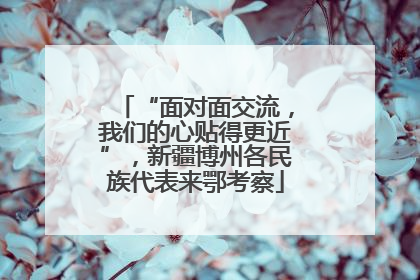 “面对面交流，我们的心贴得更近”，新疆博州各民族代表来鄂考察