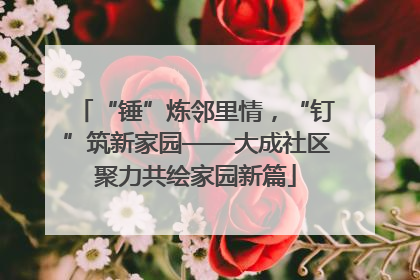 “锤”炼邻里情，“钉”筑新家园——大成社区聚力共绘家园新篇