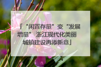“闲置存量”变“发展增量” 浙江现代化美丽城镇建设再添新意