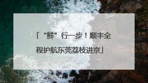 “鲜”行一步！顺丰全程护航东莞荔枝进京