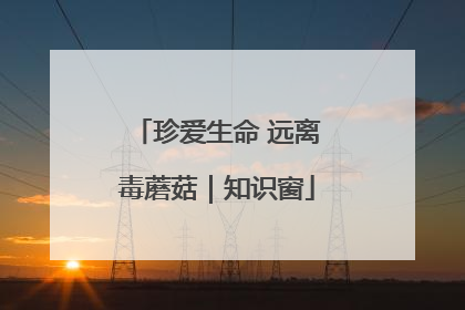 珍爱生命 远离毒蘑菇｜知识窗