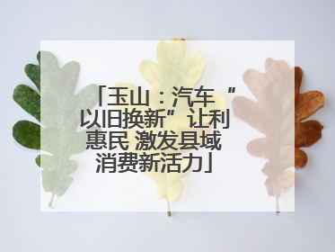 玉山：汽车“以旧换新”让利惠民 激发县域消费新活力